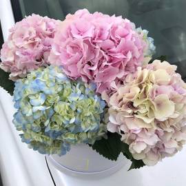 Неподражаемый