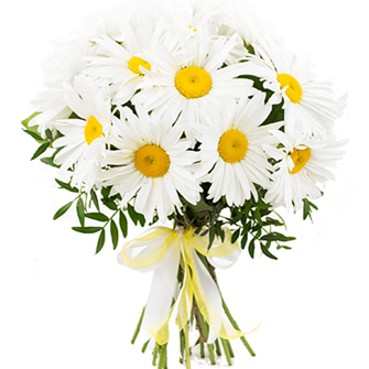 Ромашки для милашки