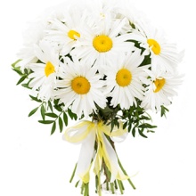 Ромашки для милашки